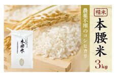 令和6年産 本腰米3kg 精米 千葉県産コシヒカリ 農薬不使用 お米 3kg 千葉県産 大網白里市 コシヒカリ 農薬不使用 米 精米 こめ 送料無料