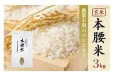 令和6年産 本腰米3kg 玄米 千葉県産コシヒカリ 農薬不使用 お米 3kg 千葉県産 大網白里市 コシヒカリ 農薬不使用 米 玄米 こめ 送料無料