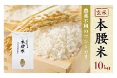 令和6年産 本腰米10kg 玄米 千葉県産コシヒカリ 農薬不使用 お米 10kg 千葉県産 大網白里市 コシヒカリ 農薬不使用 米 玄米 こめ 送料無料
