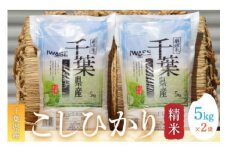 令和6年産 千葉県産コシヒカリ(精米)10kg[5kg×2袋] お米 10kg 千葉県産 大網白里市 コシヒカリ 米 精米 こめ 送料無料