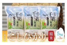 令和6年産 千葉県産コシヒカリ(精米)15kg[5kg×3袋] お米 15kg 千葉県産 大網白里市 コシヒカリ 米 精米 こめ 送料無料