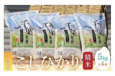 令和6年産 千葉県産コシヒカリ(精米)20kg[5kg×4袋] お米 20kg 千葉県産 大網白里市 コシヒカリ 米 精米 こめ 送料無料