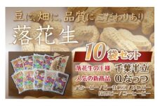 千葉県 大網白里市産 落花生10袋セット 落花生 おつまみ 千葉県産 大網白里市 送料無料