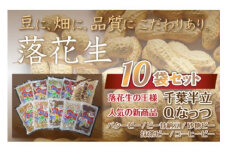 千葉県 大網白里市産 落花生10袋セット 落花生 おつまみ 千葉県産 大網白里市 送料無料