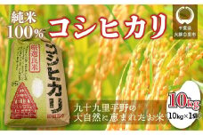【令和6年産】千葉県 大網白里市産 コシヒカリ 10kg（10kg×1袋） お米 10kg 千葉県産 大網白里市 コシヒカリ 米 精米 こめ 送料無料
