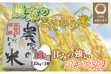 【令和6年産】千葉県 大網白里市産 こだわり米（コシヒカリ）10kg（10kg×1袋） お米 10kg 千葉県産 大網白里市 コシヒカリ 米 精米 こめ 送料無料