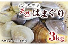 九十九里浜　天然はまぐり　3kg【厳選】（10月上旬より順次発送予定） ふるさと納税 はまぐり ハマグリ 蛤 天然 九十九里産 国産 ひな祭り 節句 おせち 千葉県 大網白里市 送料無料 P002
