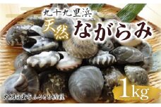 九十九里浜　天然ながらみ　1kg【名産】 ふるさと納税 ながらみ 幻の貝 九十九里産 貝 国産 千葉県 大網白里市 送料無料 P005