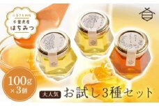 千葉県産はちみつ【大人気お試し3種セット 】100g×3個 ふるさと納税 ハチミツ 蜂蜜 はちみつ 千葉 大網白里市 送料無料
