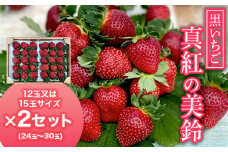 【2025年1月発送開始】＜黒いちご＞真紅の美鈴 大サイズ 12玉又は15玉×2セット ふるさと納税 いちご 苺 イチゴ 千葉 大網白里市 送料無料 AB001