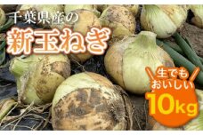 【先行受付】千葉県産 新玉ねぎ10kg 生でもおいしい！【令和8年5月上旬から順次発送】 玉ネギ たまねぎ タマネギ 玉葱 新玉ねぎ 野菜 千葉県 大網白里市 送料無料