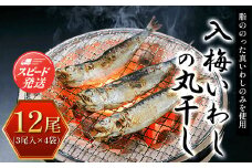 入梅いわしの丸干し 12尾（3尾入×4袋） ふるさと納税 いわし イワシ 鰯 魚 干物 乾物 魚介 千葉県 大網白里市 送料無料 AE001