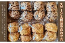 スコーン２種詰め合わせ☆ ふるさと納税 焼菓子 詰め合わせ ギフト 千葉県 大網白里市 送料無料 AM002