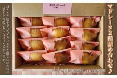マドレーヌ2種詰め合わせ♪ ふるさと納税 焼菓子 詰め合わせ ギフト 千葉県 大網白里市 送料無料 AM003