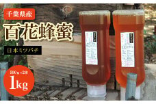 千葉県産　日本みつばち百花蜂蜜　1kg（500ｇ×2本） ふるさと納税  蜂蜜 日本みつばち 百花蜂蜜 はちみつ ハチミツ ミツバチ 千葉県 大網白里市 AP001