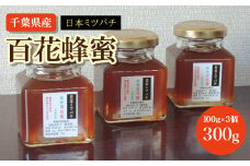 千葉県産　日本みつばち百花蜂蜜　300g（100ｇ×3個） ふるさと納税  蜂蜜 日本みつばち 百花蜂蜜 はちみつ ハチミツ ミツバチ 千葉県 大網白里市 AP002