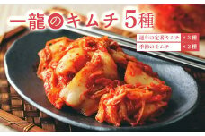 一龍のキムチ５種（通年の定番キムチ３種と季節のキムチ２種） ふるさと納税 きむち キムチ おいしい 美味しい 手作り 発酵 季節 野菜 5種 千葉県 大網白里市 AR001