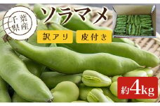 【先行受付】千葉県産　ソラマメ　4kg　訳アリ　皮付き【令和8年5月から順次発送】ふるさと納税 そらまめ ソラマメ そら豆 千葉県 大網白里市 送料無料 AD002