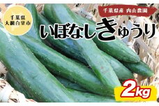 【先行予約11月配送】千葉県産　いぼなしキュウリ　2ｋｇ ふるさと納税 きゅうり キュウリ 胡瓜 野菜 サラダ 浅漬け 千葉県 大網白里市 送料無料 AS001