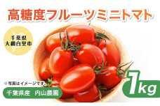 【先行予約11月配送】千葉県産　高糖度フルーツミニトマト 1kg ふるさと納税 トマト ミニトマト シュガープラム あまい 甘い 高糖度 野菜 サラダ 高リコピン 千葉県 大網白里市 送料無料 AS002