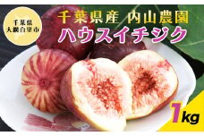 【数量・期間限定】千葉県産 ハウスイチジク 1ｋｇ ふるさと納税 イチジク いちじく 無花果 ハウス栽培 果物 千葉県 大網白里市 送料無料 AS003