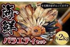 ＜毛蟹が必ず入ってます！＞海鮮バラエティーセット 約2kg(g set-16) 海鮮 セット 海鮮セット 海鮮詰め合わせ 詰め合わせ 詰め合わせセット 父の日 自宅用 贈答用 千葉県 大網白里市 AJ009