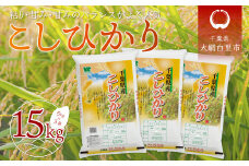 令和6年産 千葉県産「コシヒカリ」15kg（5kg×3袋） お米 15kg 千葉県産 大網白里市 コシヒカリ 米 精米 こめ 送料無料