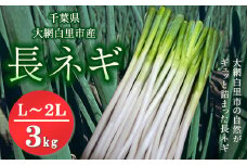 ★先行予約★【2025年12月発送開始予定】千葉県大網白里市産　長ネギ　L～2Lサイズ　3㎏（約18本～27本）／ふるさと納税 長ネギ 長ねぎ 長葱 ネギ ねぎ 葱 野菜 鍋 先行予約 先行受付 千葉県 大網白里市 AV002
