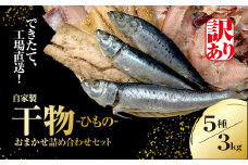 【訳あり】出来立て！工場直送！ 自家製干物・水産加工品おまかせ詰め合わせセット 5種 3kg 訳あり 訳アリ 干物 ほっけ ホッケ アジ あじ サバ さば 魚 大容量 詰め合わせ 千葉県大網白里 BA001