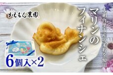  ～大網白里市産の米粉を使用～マリンのフィナンシェ ６個入×２箱（計12個） ご当地キャラ ゆるキャラ マリン マリンのフィナンシェ フィナンシェ プレーン 米粉 焦がしバター お菓子 ギフト 千葉県大網白里市 思いやり型返礼品 M009