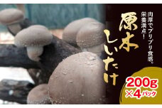 【先行予約 11月中旬から順次発送】原木しいたけ 200ｇ×4パック【 ふるさと納税 人気 おすすめ ランキング しいたけ 椎茸 茸 きのこ パック 大容量 千葉県 大網白里市 送料無料 】 AU003