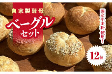 自家製酵母・国産小麦粉のベーグルセット 12個入り 千葉県 大網白里市 AZ001
