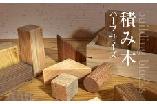 積み木（ハーフサイズ　全14ピース　木箱入り） ふるさと納税 木 木材 木工 小物 インテリア 天然素材 おもちゃ 玩具 積み木 木製 無塗装 安全 ブロック 子ども 赤ちゃん 千葉県 大網白里市 AO017