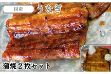 国産うなぎ（蒲焼）2枚　セット  ／ ふるさと納税 うなぎ 鰻 国産 かば焼き 蒲焼 2枚 ふっくら 自家製 タレ 冷凍 温めるだけ 千葉県 大網白里市 AT002