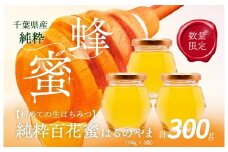 千葉県産「純粋はちみつ」はるのやま(百花蜜)3個 【 ふるさと納税 ハチミツ 蜂蜜 はちみつ お菓子作り おかしづくり セット 非加熱 生 千葉 大網白里市 送料無料 】 X008