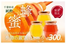 千葉県産「厳選純粋はちみつ」100g×3個【ランダムにセレクト】 【 ふるさと納税 ハチミツ 蜂蜜 はちみつ お菓子作り おかしづくり セット 千葉 大網白里市 送料無料 】 X010