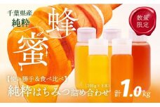 千葉県産「季節の厳選はちみつ」200gボトル×5本【ランダムにセレクト】 【 ふるさと納税 ハチミツ 蜂蜜 はちみつ お菓子作り おかしづくり セット 千葉 大網白里市 送料無料 】 X017