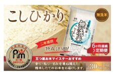 ＜6ヶ月定期便＞2年連続特A評価！千葉県産コシヒカリ【無洗米】5kg×6ヶ月連続 計30kg  ふるさと納税 米 定期便千葉県産 大網白里 コシヒカリ 無洗米 こめ 送料無料  E014