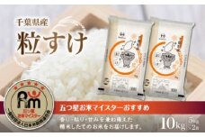 令和6年産 千葉県産粒すけ 精米 10kg (5kg×2袋) ふるさと納税 米 千葉県産 大網白里 コシヒカリ 精米 こめ 送料無料