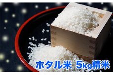 ホタルの飛び交う地で育った コシヒカリ 「 ホタル米 」 精米 5kg 令和6年産 2024年産 コシヒカリ5kg