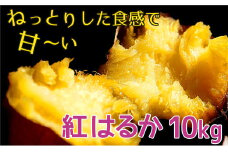 千葉県産 甘～い！ サツマイモ 紅はるか 10kg 先行予約 受付中 さつまいも べにはるか 薩摩芋 熟成 ［岩澤さんの さつまいも ］ 千葉県 酒々井町