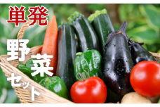 ＼ 農園直送 ／ 旬 の 採れたて野菜 詰め合わせ 野菜セット 野菜 野菜詰め合わせ 旬の野菜セット 旬の採れたて 酒々井 千葉 セット 季節の野菜 日用品