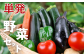 ※画像はイメージです。