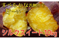 なめらかで絹のような舌ざわりの甘～い サツマイモ シルクスイート10kg 先行予約 受付中 ［岩澤さんの さつまいも ］