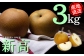 食べ応えがあり甘?い新高梨です。
