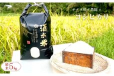 令和7年産 コシヒカリ 先行予約 ９月中旬以降出荷予定 酒々井町 産 「 酒水米 」 コシヒカリ 5kg 米5kg 2025年産 こめ 千葉 お米 こしひかり 農家直送 産地直送 旬 生鮮食品 生鮮 新鮮 サクラ咲く農園