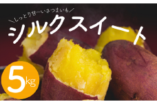なめらかで絹のような舌ざわりの甘～い サツマイモ シルクスイート5kg  先行予約 ［岩澤さんの さつまいも ］