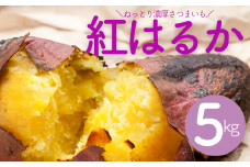千葉県産 甘～い！ サツマイモ 紅はるか 5kg 先行予約 受付中 さつまいも べにはるか 薩摩芋 熟成 ［岩澤さんの さつまいも ］ 千葉県 酒々井町