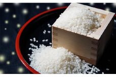 ホタルの飛び交う地で育った コシヒカリ 「 ホタル米 」 精米 10kg 令和6年産 2024年産 コシヒカリ10kg