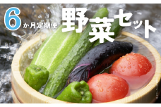 ＼ 6か月定期便 ／ 旬 の 採れたて野菜 詰め合わせ 野菜セット 野菜 野菜詰め合わせ 旬の野菜セット 旬の採れたて 酒々井 千葉 セット 季節の野菜 日用品 定期便